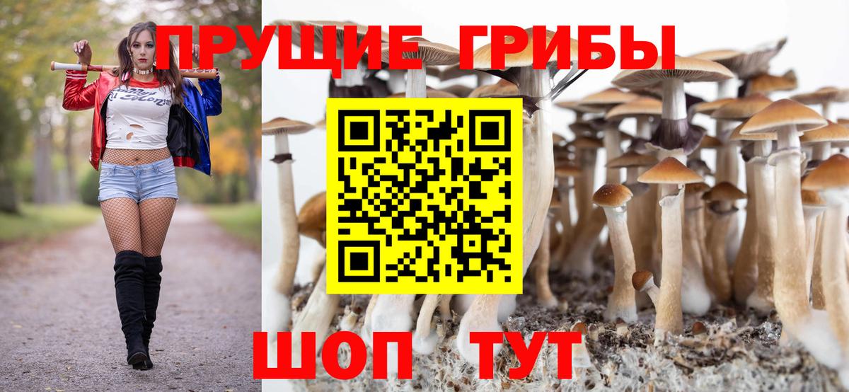 Аша  купить закладку  Галлюциногенные грибы GOLDEN TEACHER  Вход с VPN  Псилоцибиновые грибы мухоморы 
